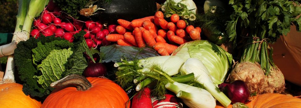 Frisches Obst und Gemüse bieten die Hofläden in der Verbandsgemeinde an